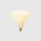 Ampoule LED Noma E26