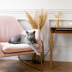 Lampe de table Knuckle en chêne + Voronoi I